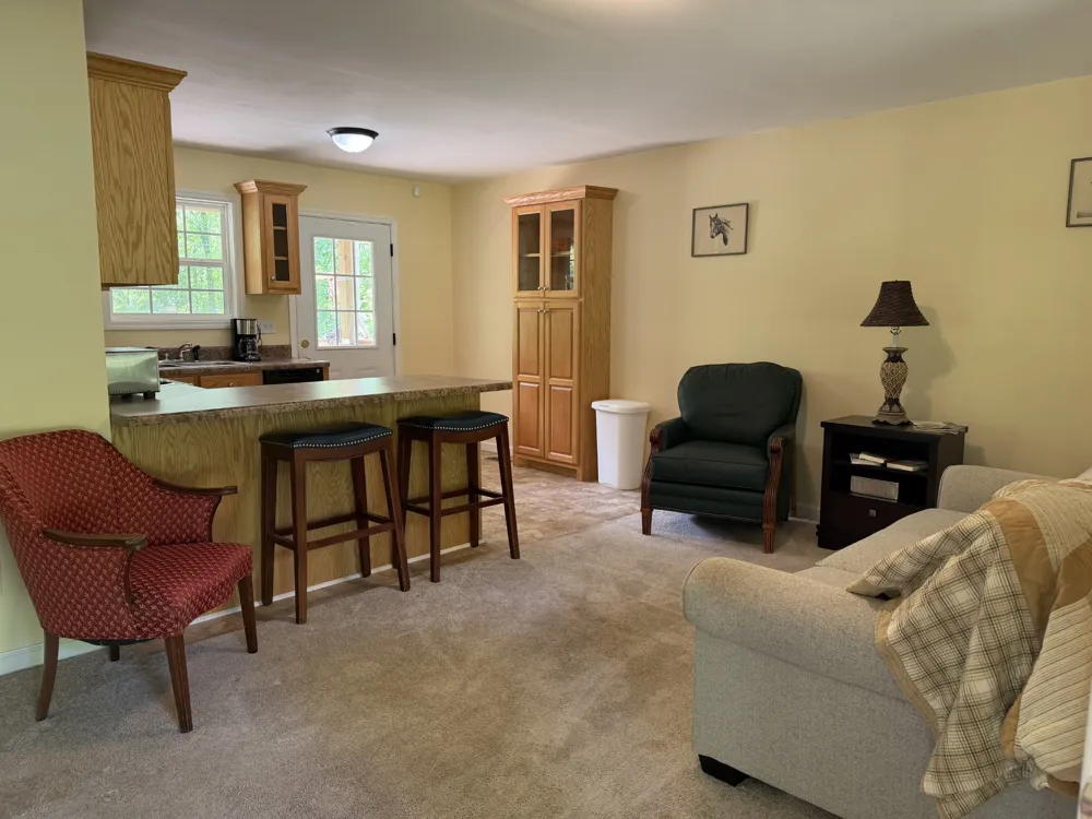 130 Trace view DR Summertown, TN 38483