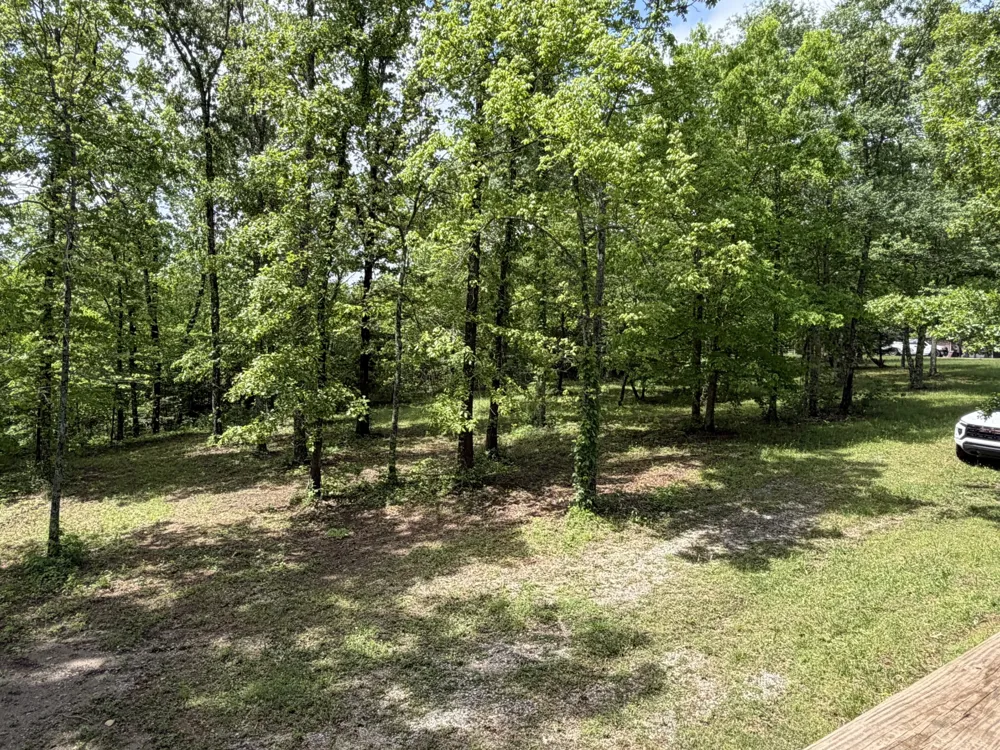 130 Trace view DR Summertown, TN 38483