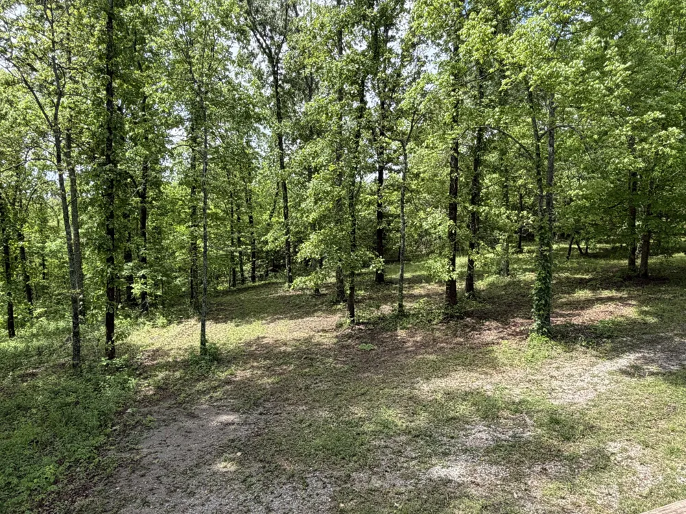 130 Trace view DR Summertown, TN 38483