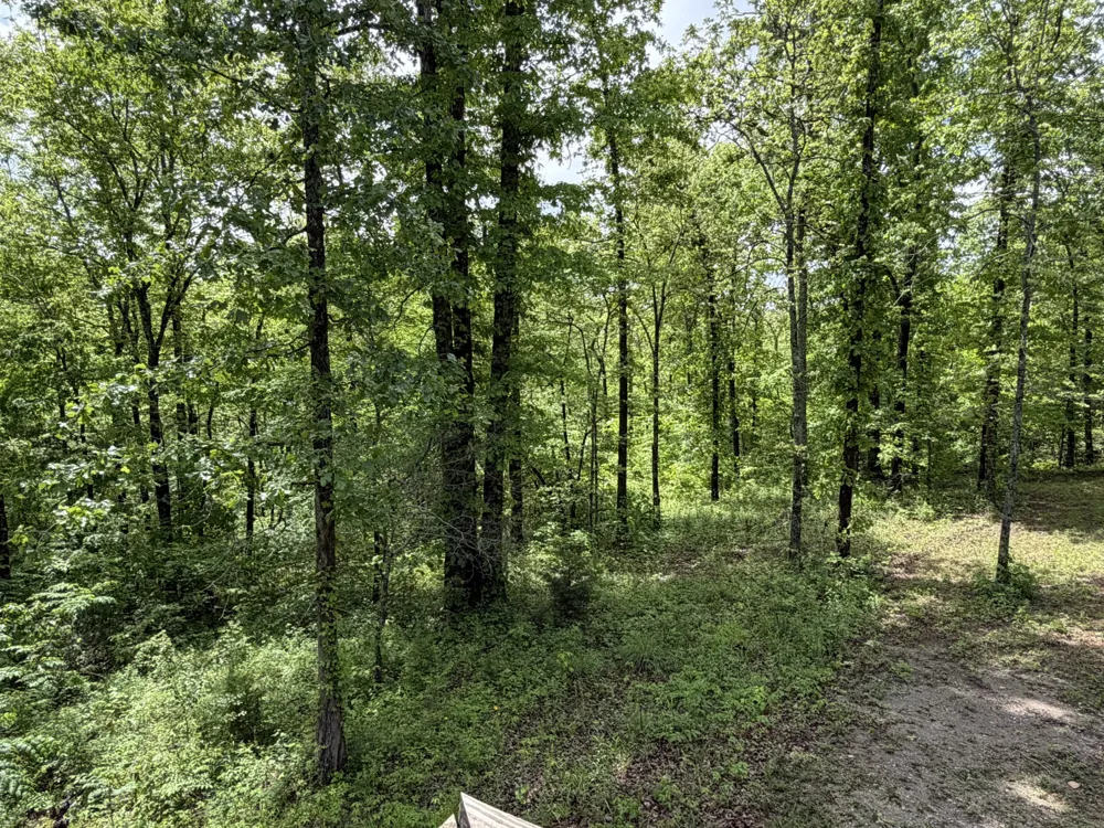 130 Trace view DR Summertown, TN 38483