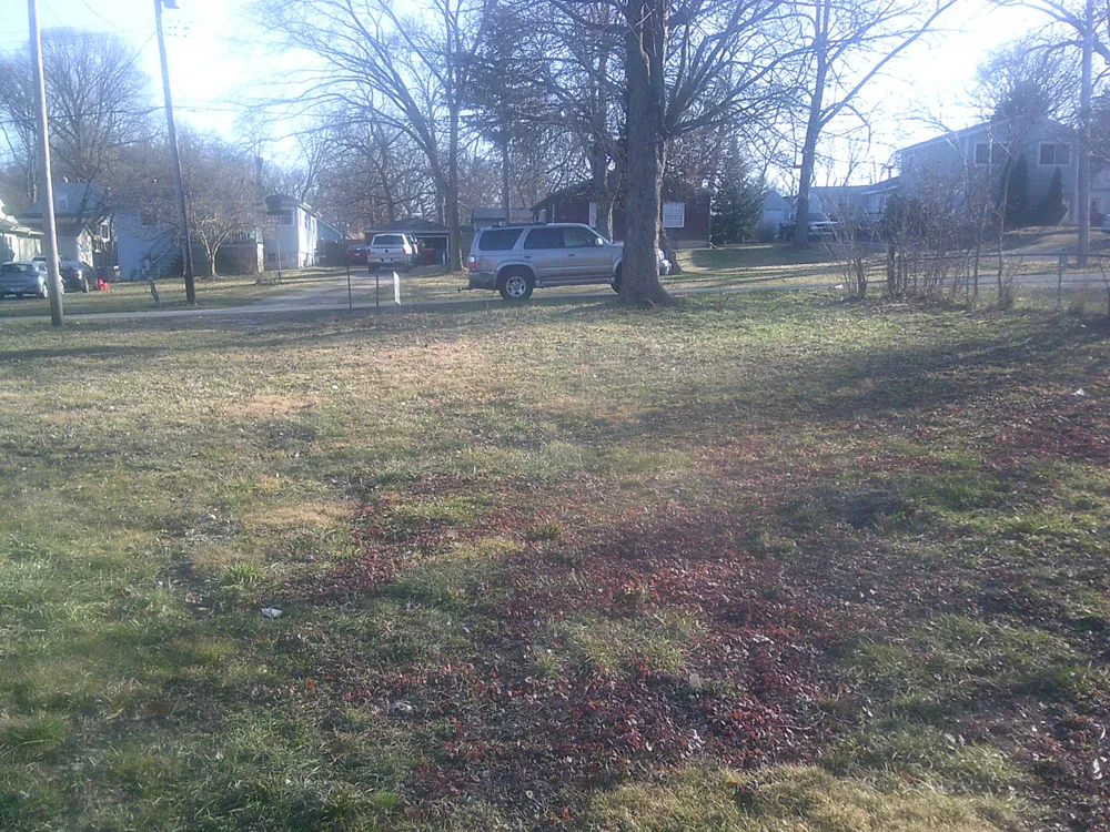 7424 W 140th Place Cedar Lake, IN 46303