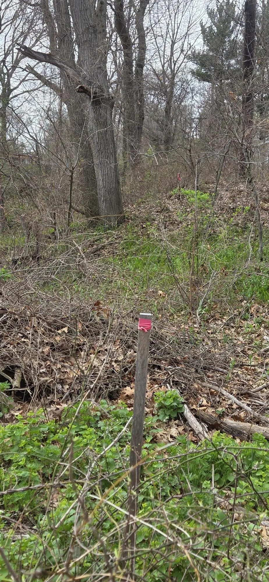 7506-10 Indian Boundary Gary, IN 46403
