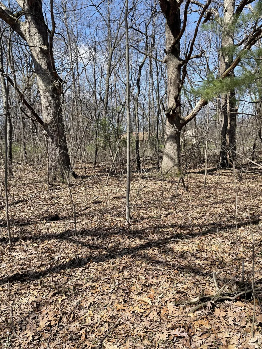 500 Wildwood Avenue E Cedar Lake, IN 46303
