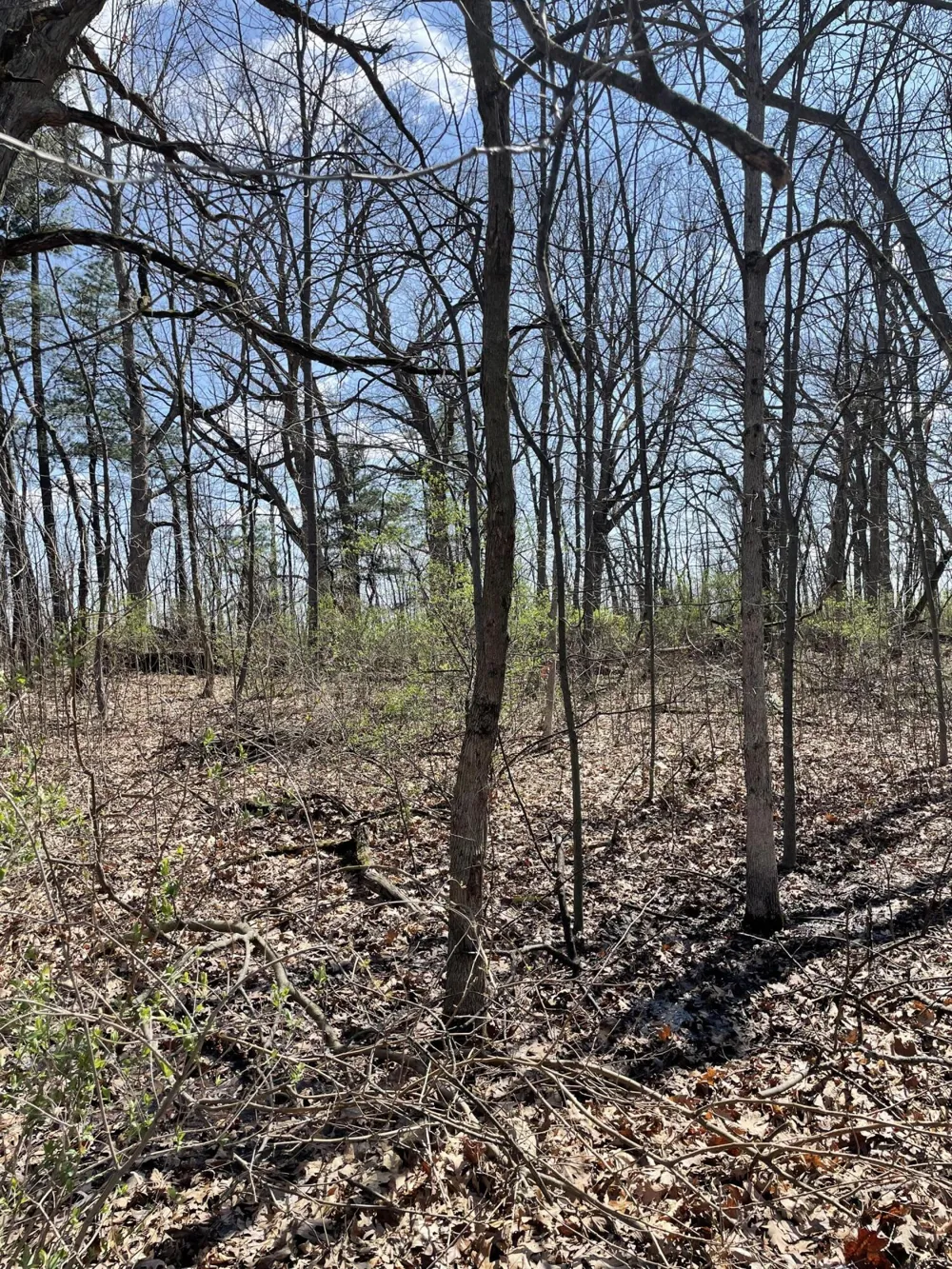 500 Wildwood Avenue E Cedar Lake, IN 46303