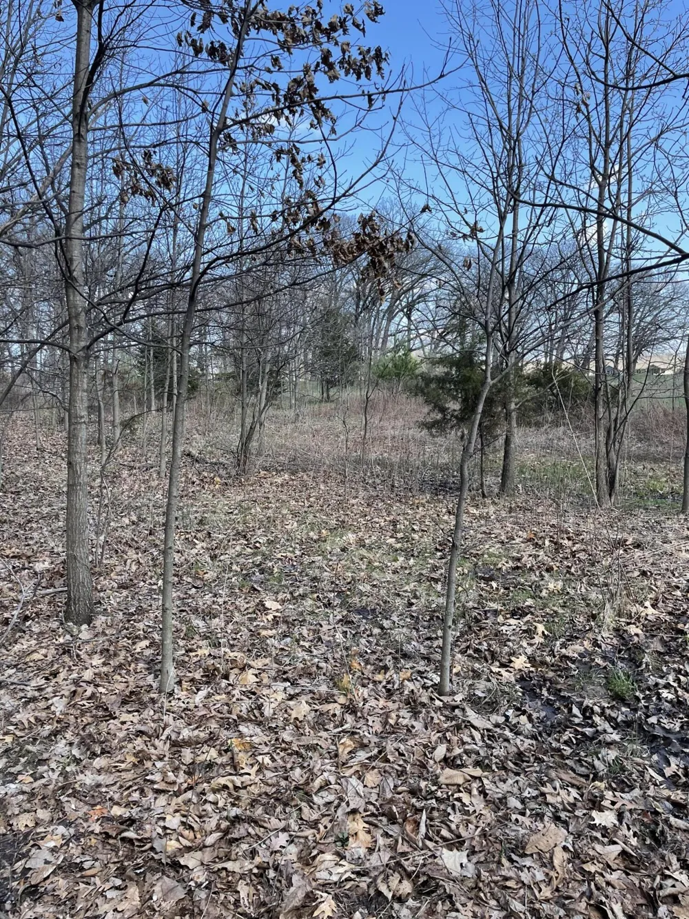 500 Wildwood Avenue E Cedar Lake, IN 46303