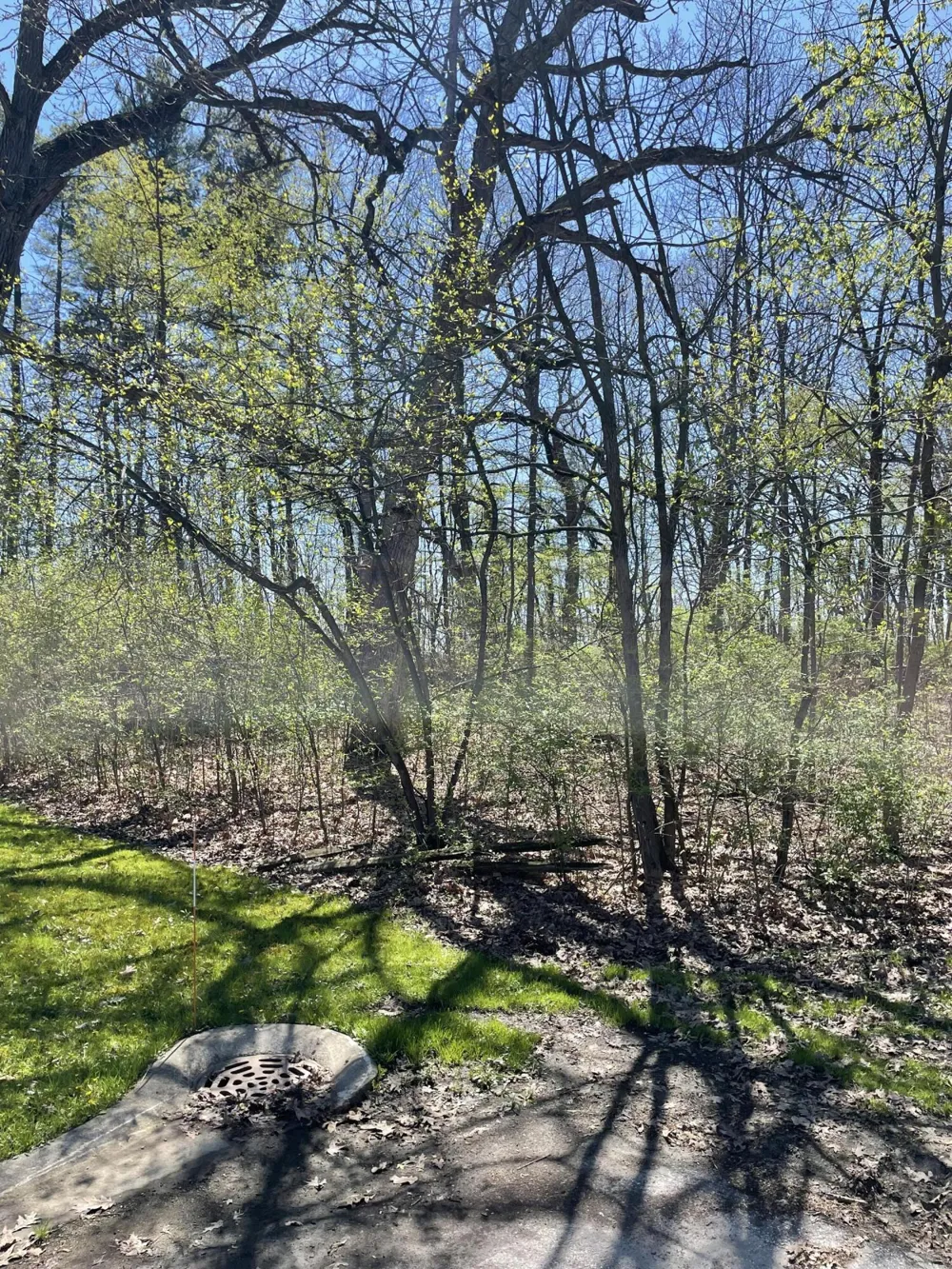 500 Wildwood Avenue E Cedar Lake, IN 46303