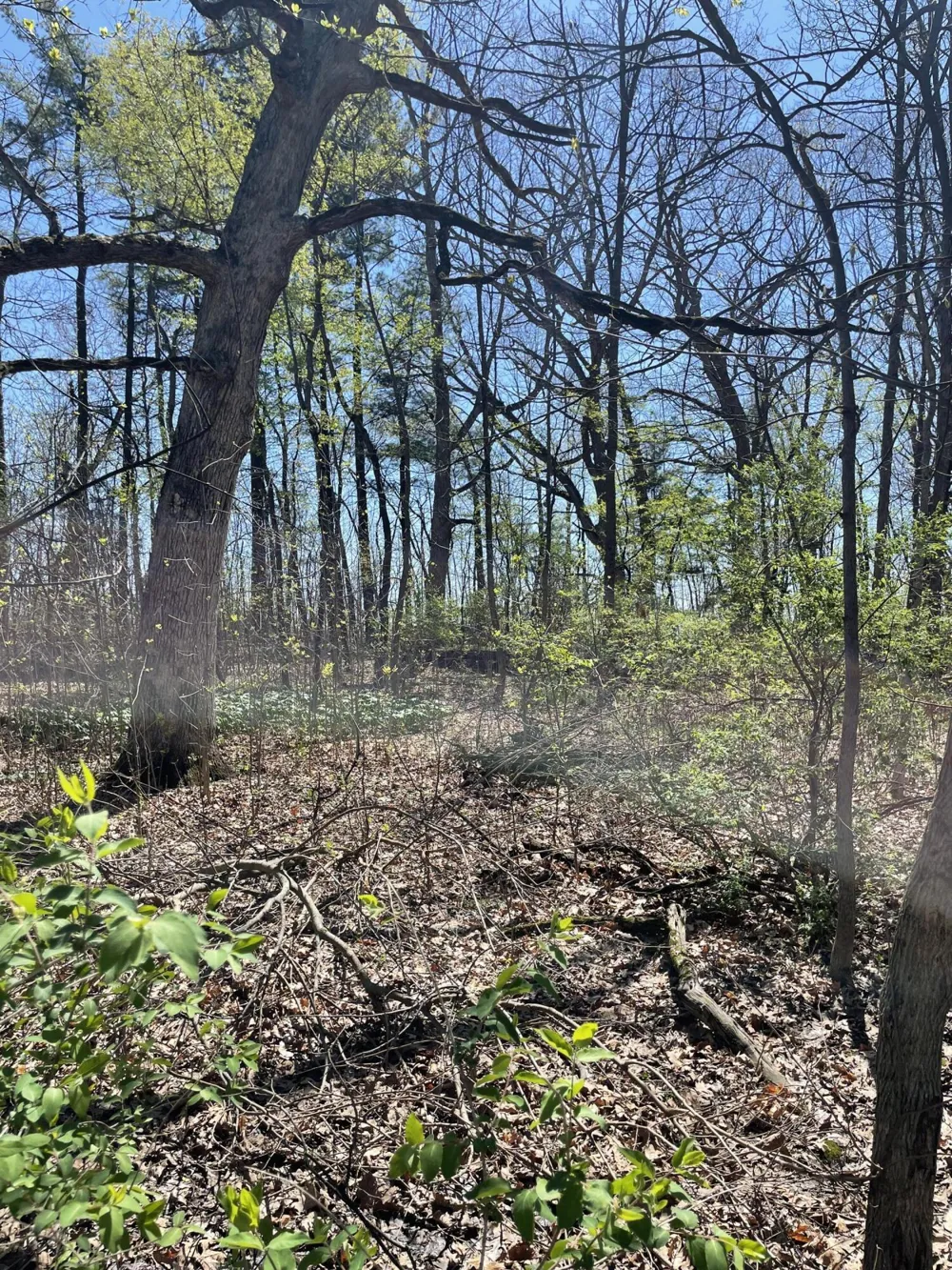 500 Wildwood Avenue E Cedar Lake, IN 46303