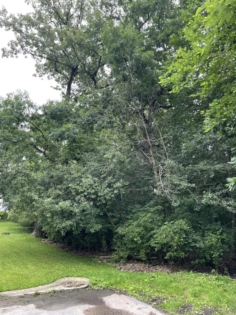 500 Wildwood Avenue E Cedar Lake, IN 46303