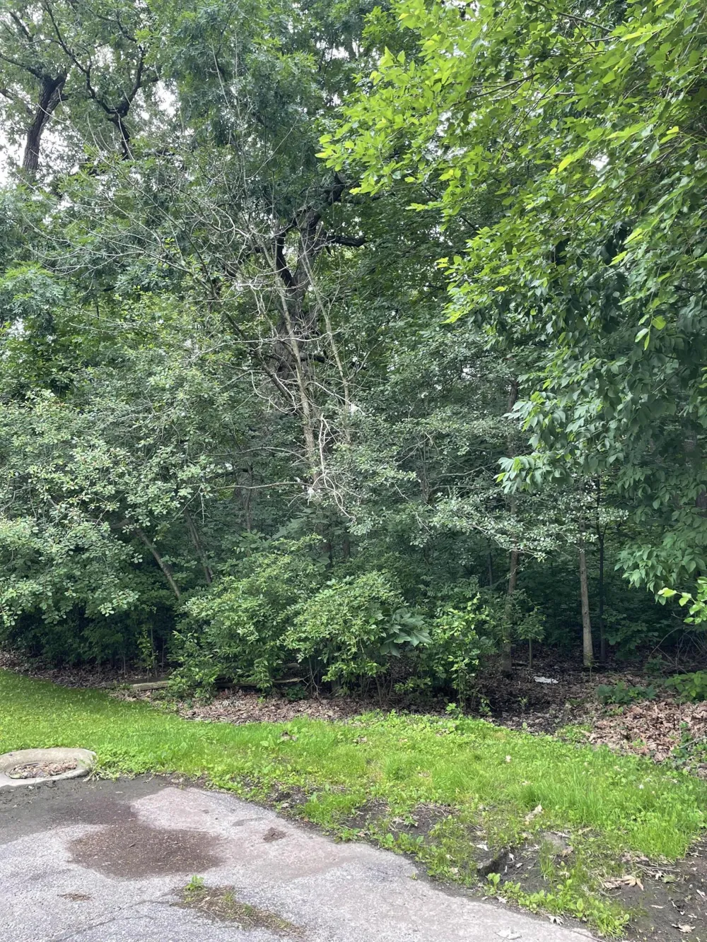 500 Wildwood Avenue E Cedar Lake, IN 46303