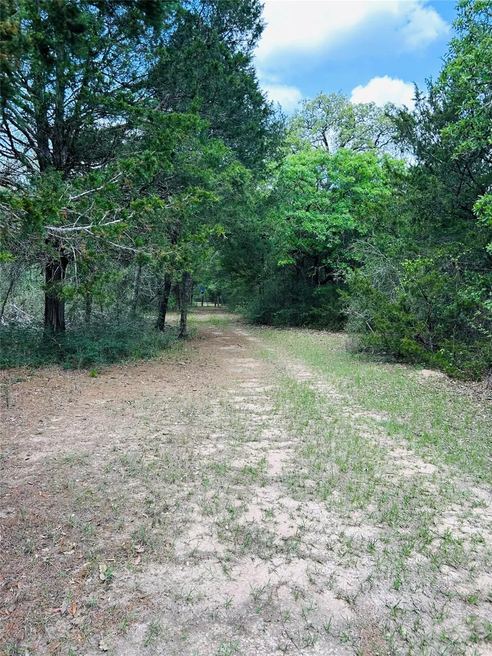 32 Dunlavy Cat Spring, TX 78933
