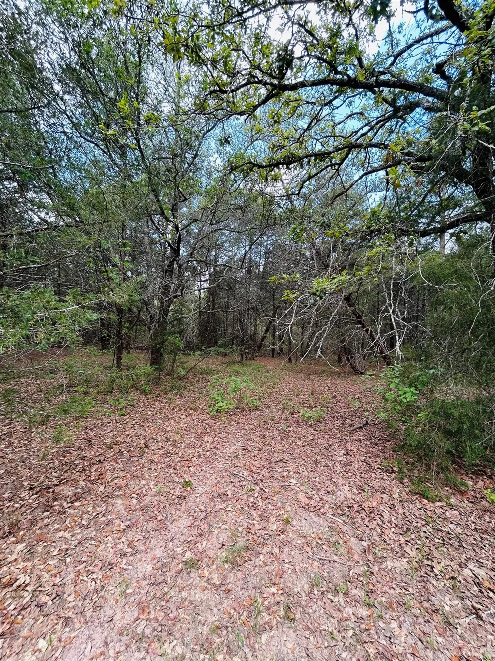 32 Dunlavy Cat Spring, TX 78933