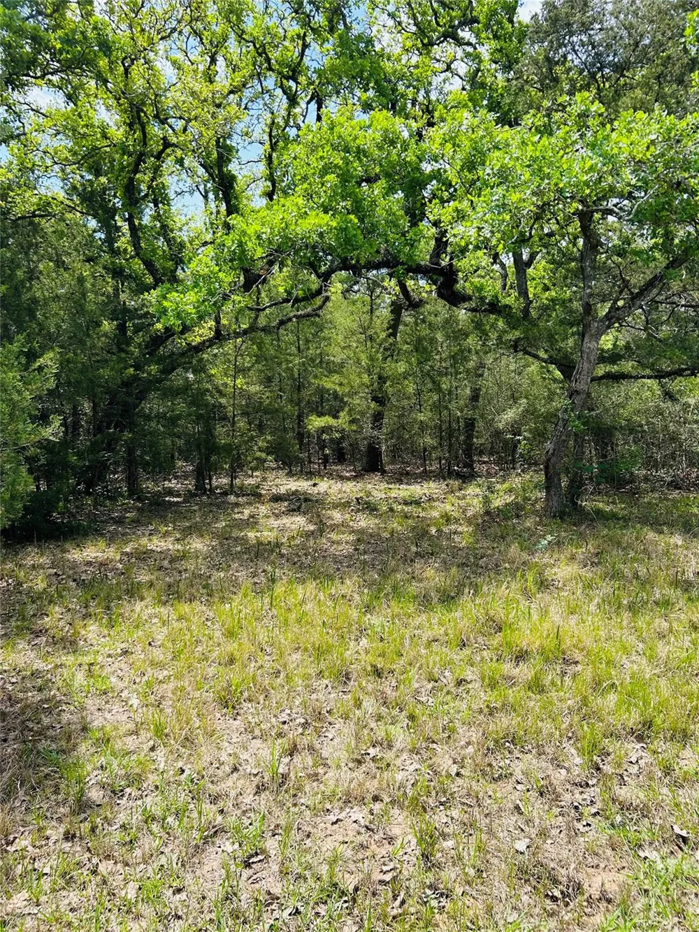 32 Dunlavy Cat Spring, TX 78933