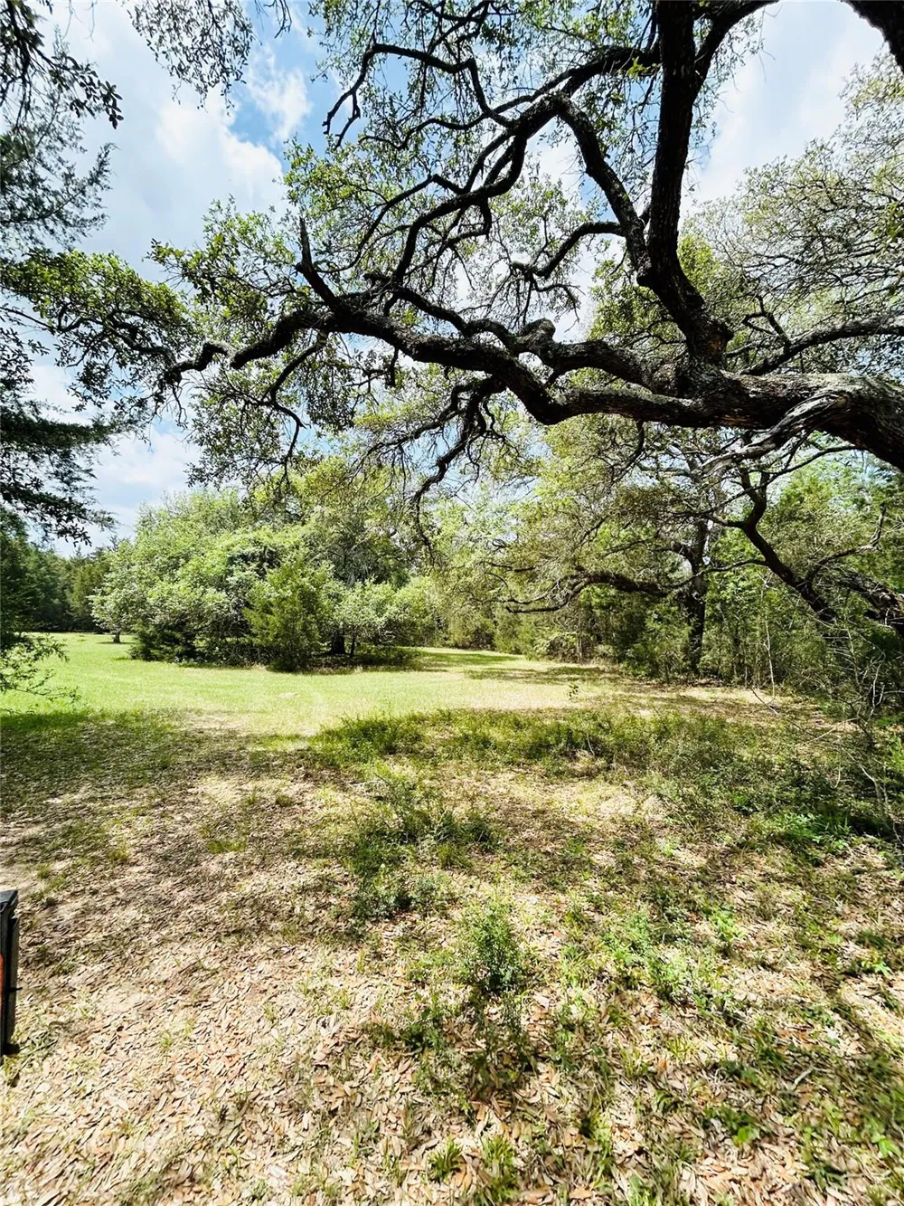 32 Dunlavy Cat Spring, TX 78933
