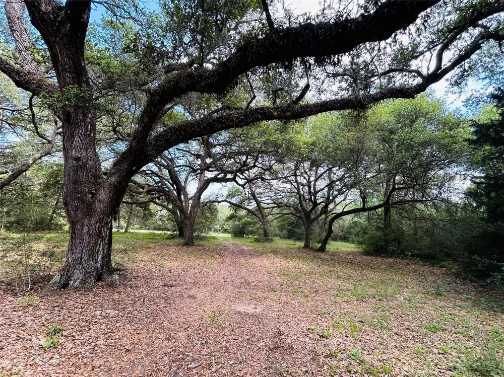 32 Dunlavy Cat Spring, TX 78933