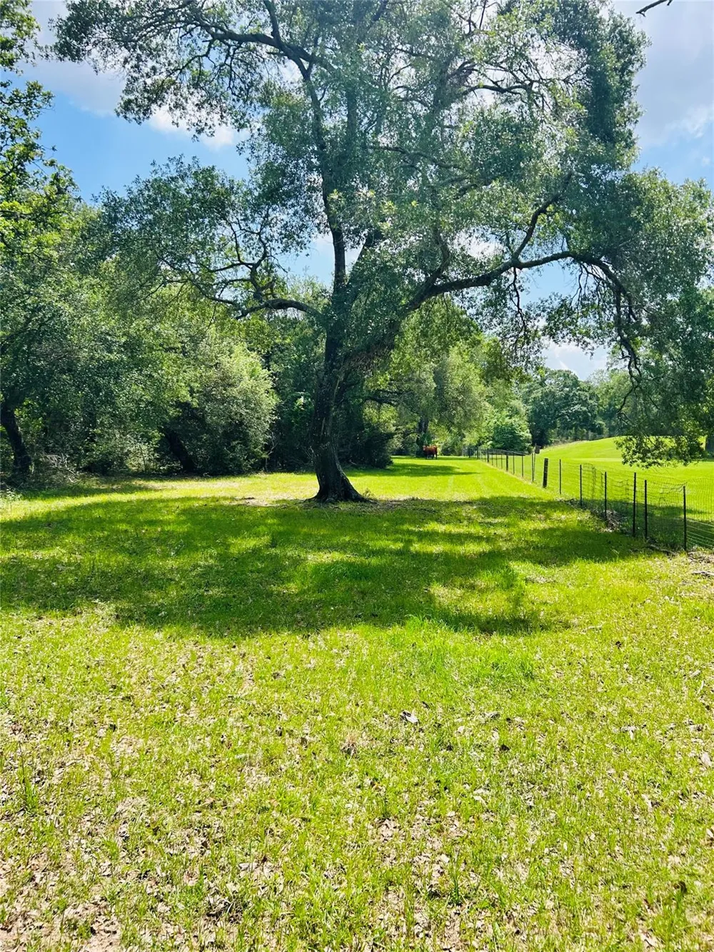 32 Dunlavy Cat Spring, TX 78933