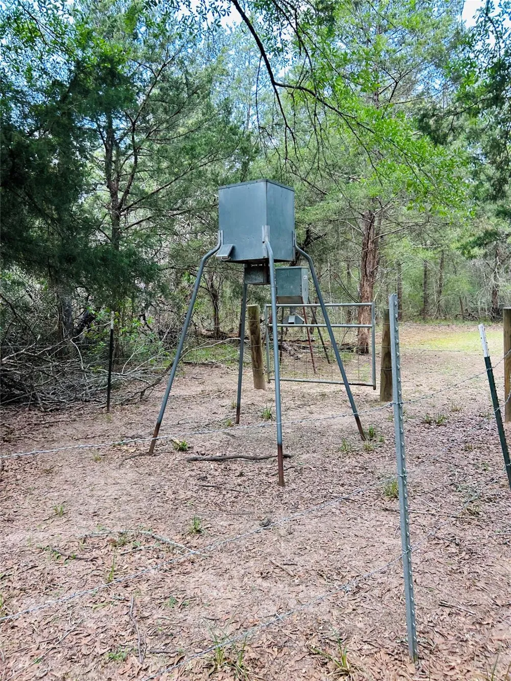 32 Dunlavy Cat Spring, TX 78933