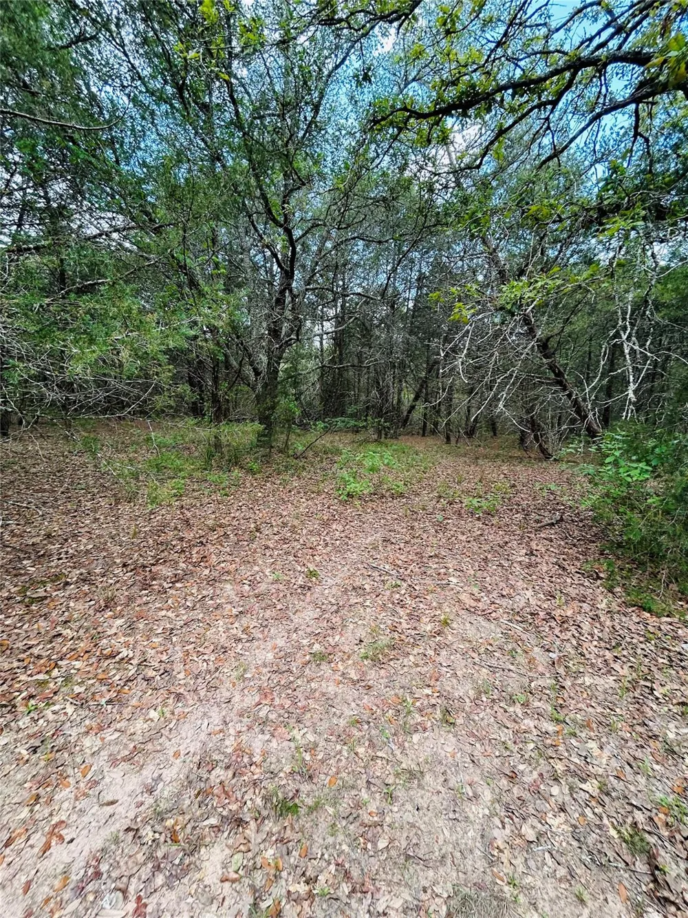 32 Dunlavy Cat Spring, TX 78933