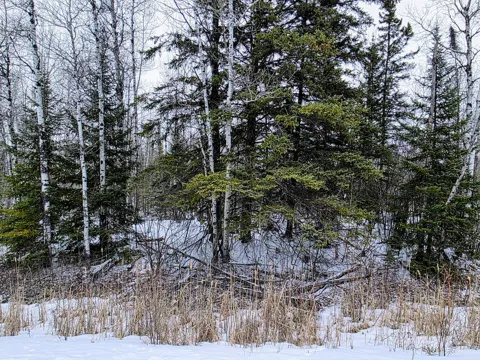 TBD County Road 91