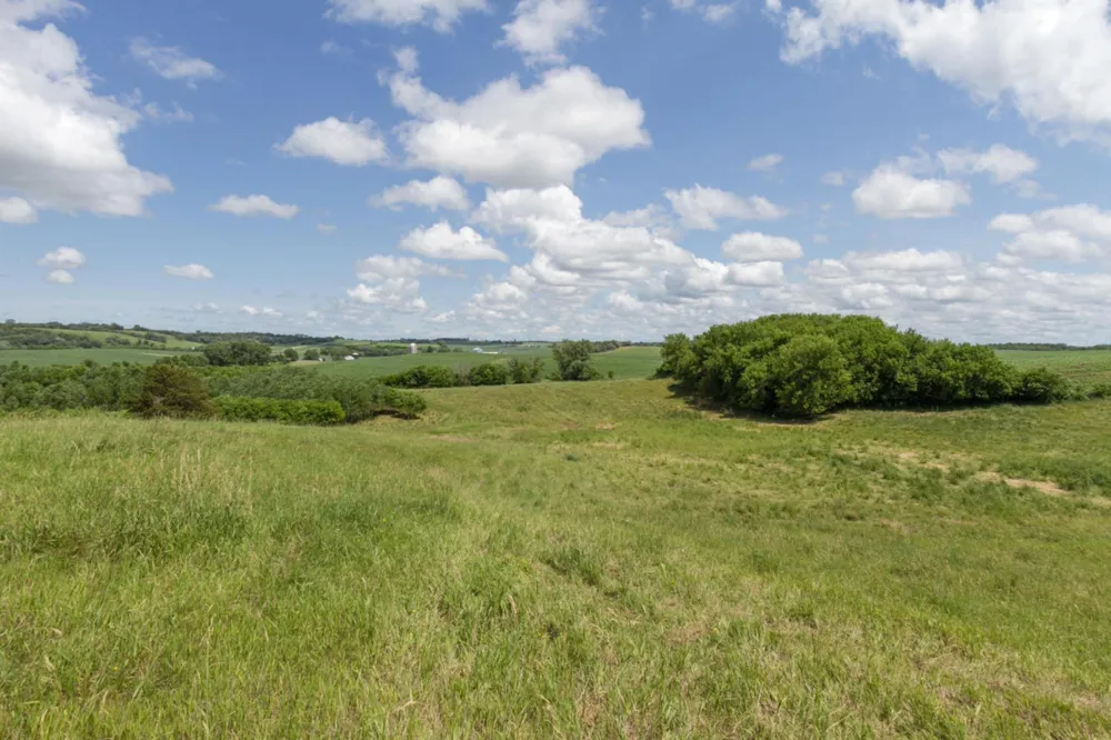 62997 430th Avenue Mazeppa, MN 55956