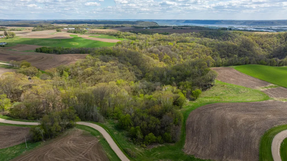W1660 Maplewood Lane Alma, WI 54610