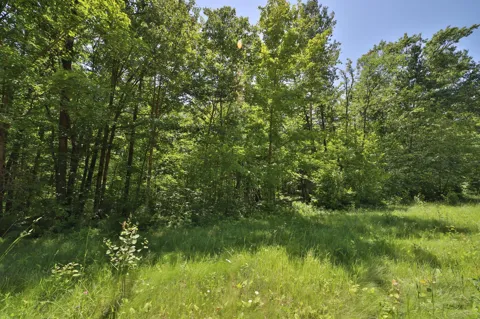 Tract C Olander Road
