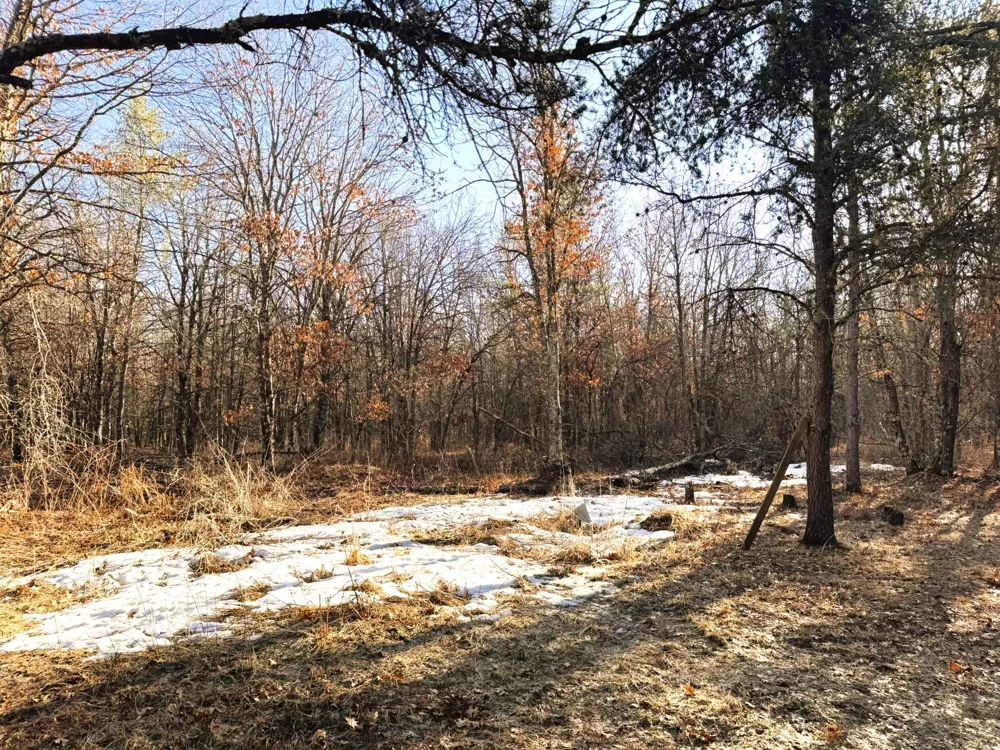 27672 Norway Point Road Grantsburg, WI 54840
