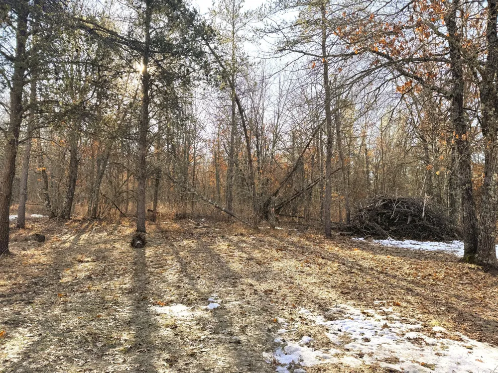 27672 Norway Point Road Grantsburg, WI 54840