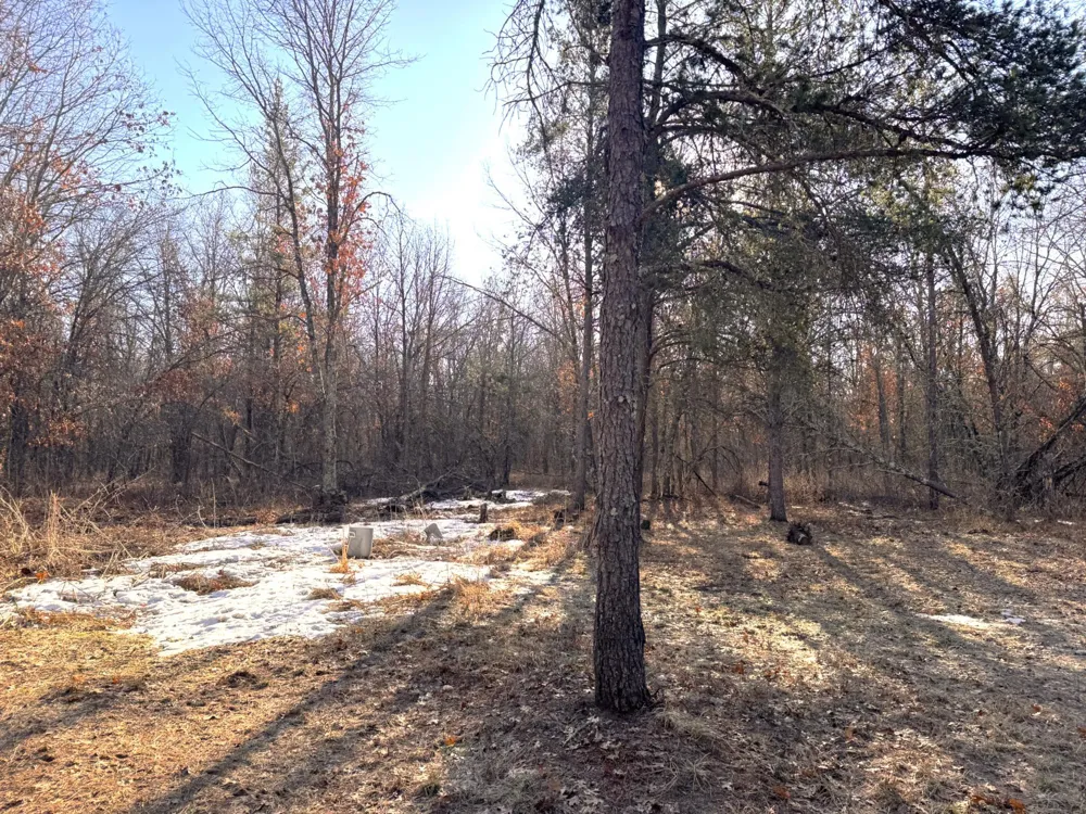 27672 Norway Point Road Grantsburg, WI 54840