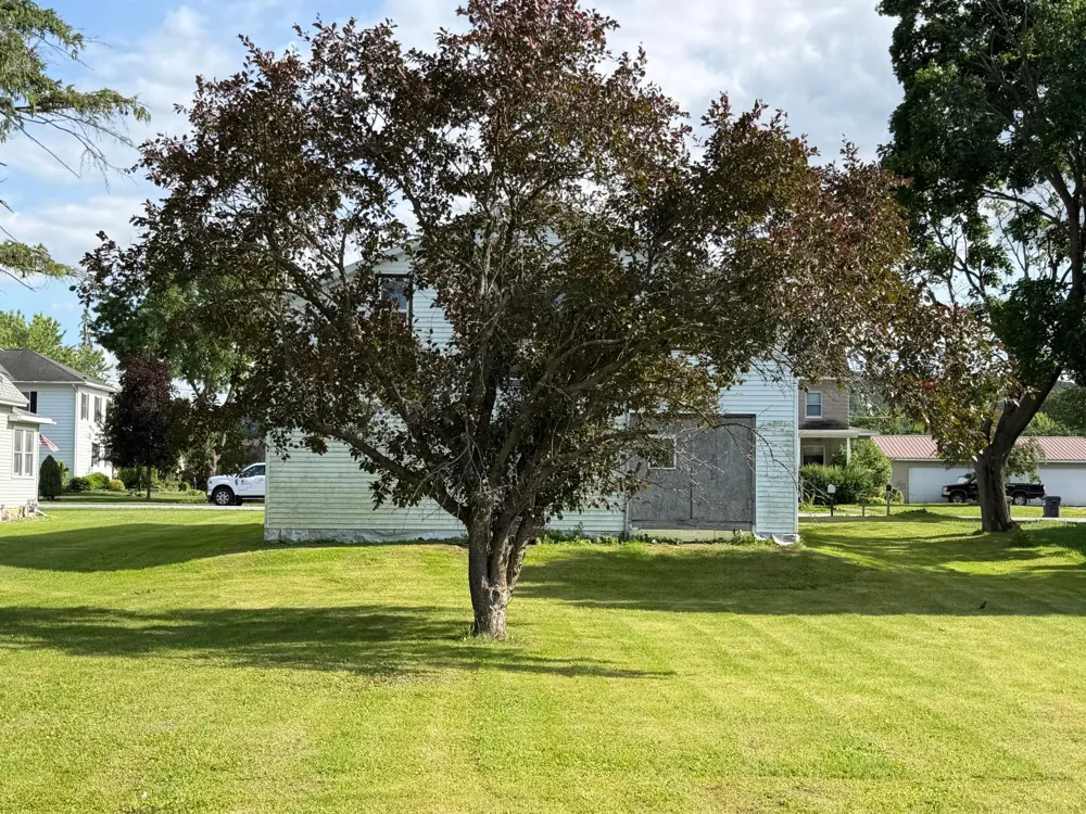 116 Mill Street Peterson, MN 55962