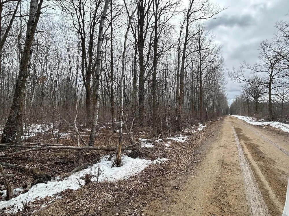 TBD Spangrud Court NE Kelliher, MN 56650