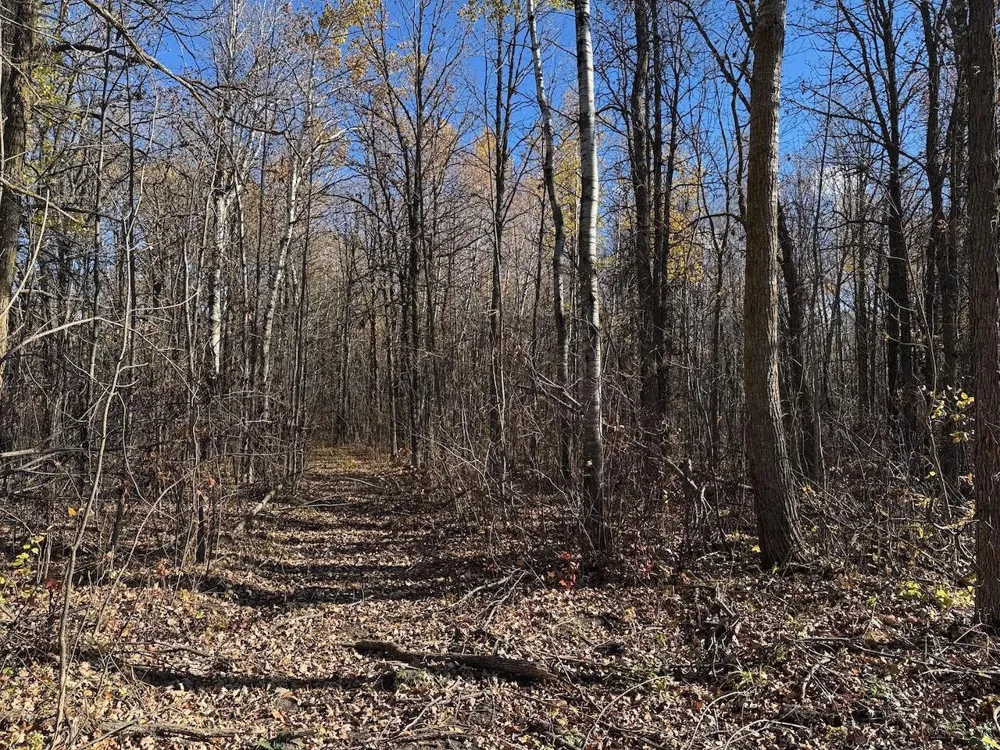 TBD Spangrud Court NE Kelliher, MN 56650