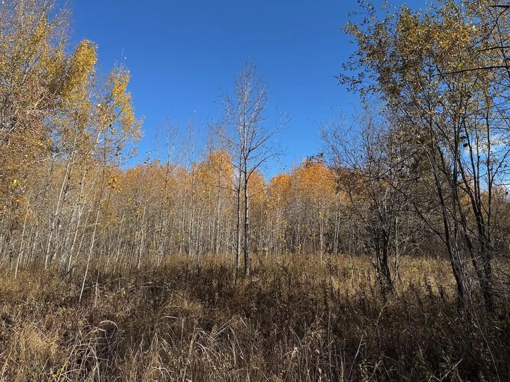 TBD Spangrud Court NE Kelliher, MN 56650