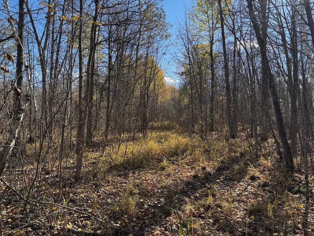 TBD Spangrud Court NE Kelliher, MN 56650
