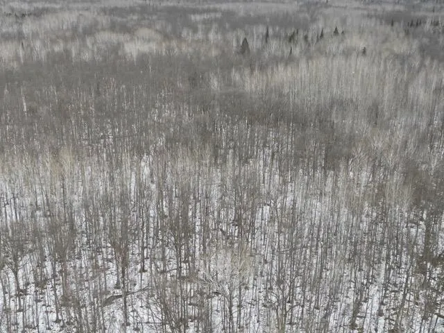TBD Spangrud Court NE Kelliher, MN 56650