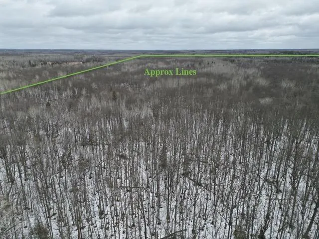 TBD Spangrud Court NE Kelliher, MN 56650