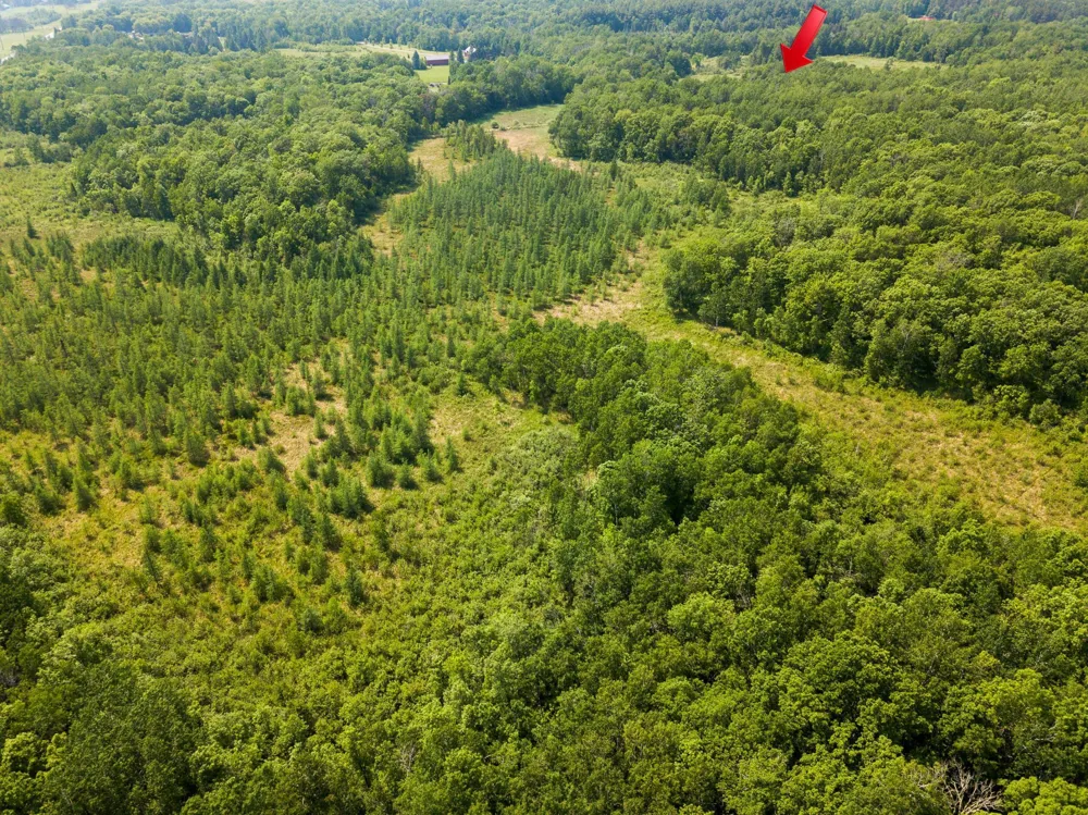 24504 State Highway 18 Deerwood, MN 56444