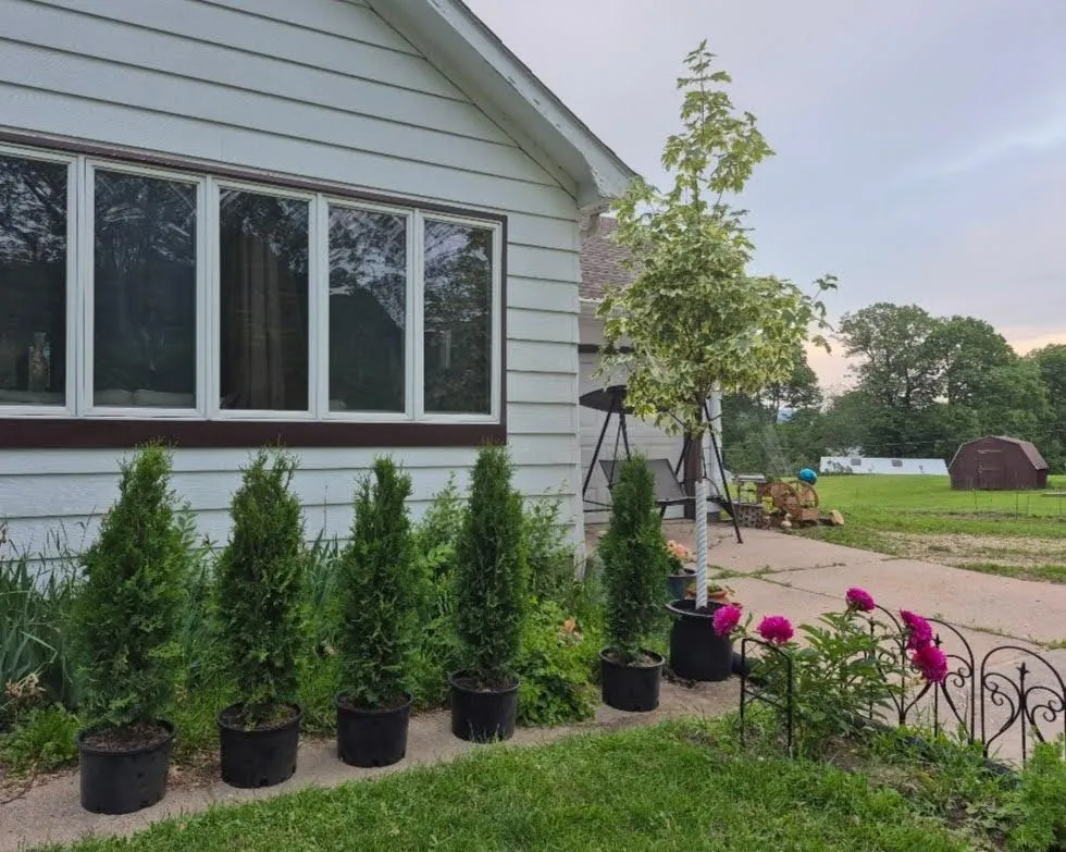 115 Keiper Drive Minnesota City, MN 55959