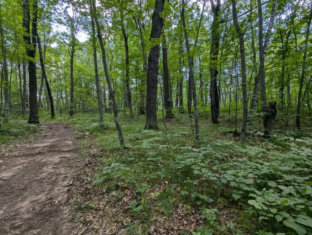 Lot 2 Fosmo Webster, WI 54893