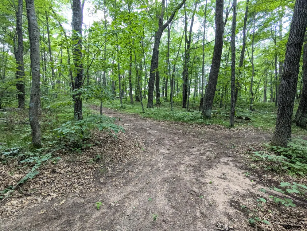 Lot 2 Fosmo Webster, WI 54893