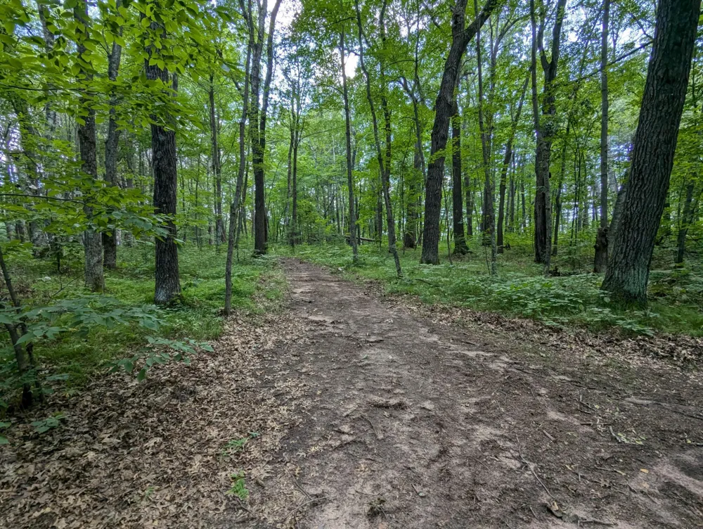 Lot 2 Fosmo Webster, WI 54893