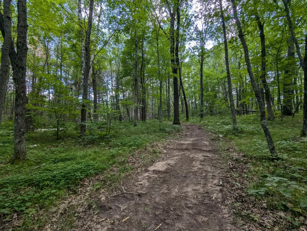 Lot 2 Fosmo Webster, WI 54893