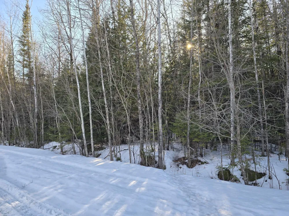 TBD 4th Avenue 22nd Street W International Falls, MN 56649