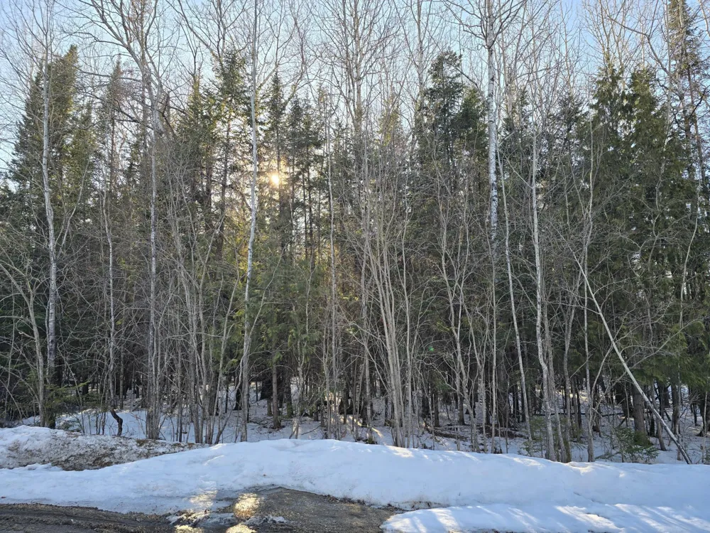 TBD 4th Avenue 22nd Street W International Falls, MN 56649