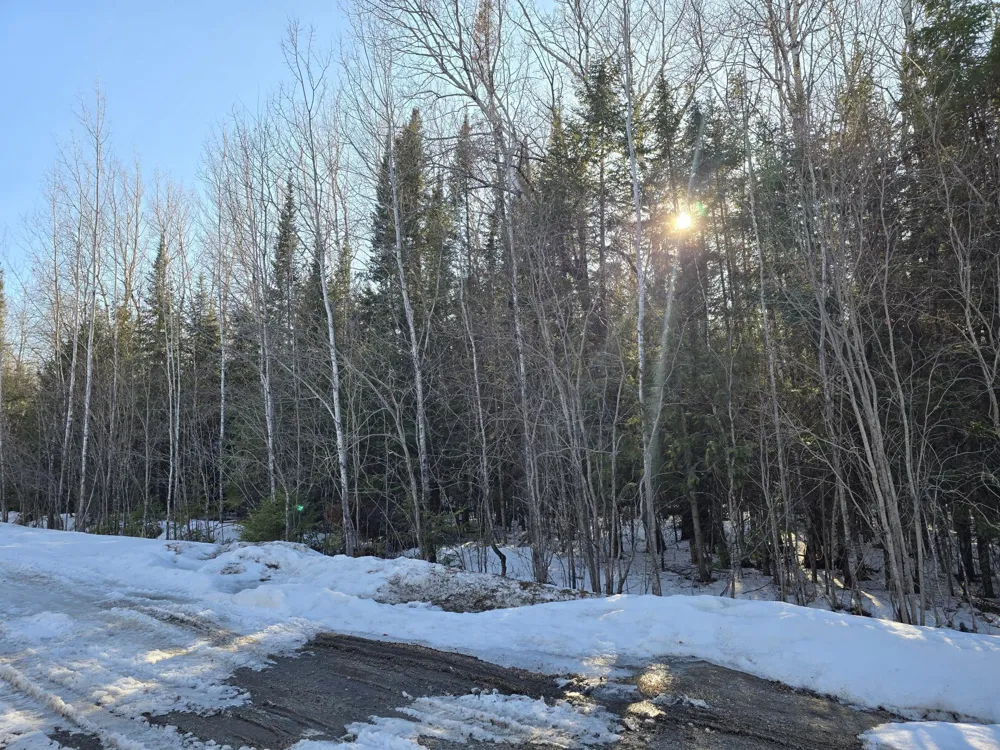 TBD 4th Avenue 22nd Street W International Falls, MN 56649