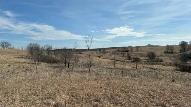 27181 Cr-10 Starbuck, MN 56381