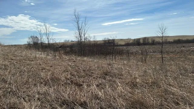 27181 Cr-10 Starbuck, MN 56381