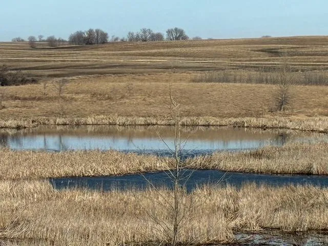 27181 Cr-10 Starbuck, MN 56381