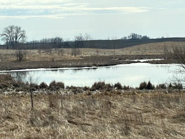 27181 Cr-10 Starbuck, MN 56381