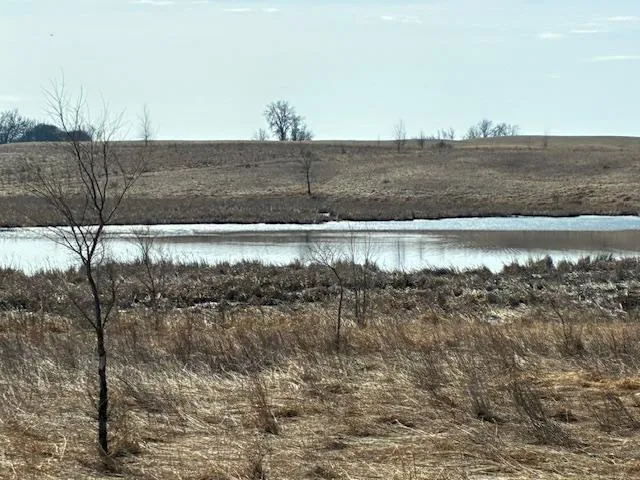 27181 Cr-10 Starbuck, MN 56381
