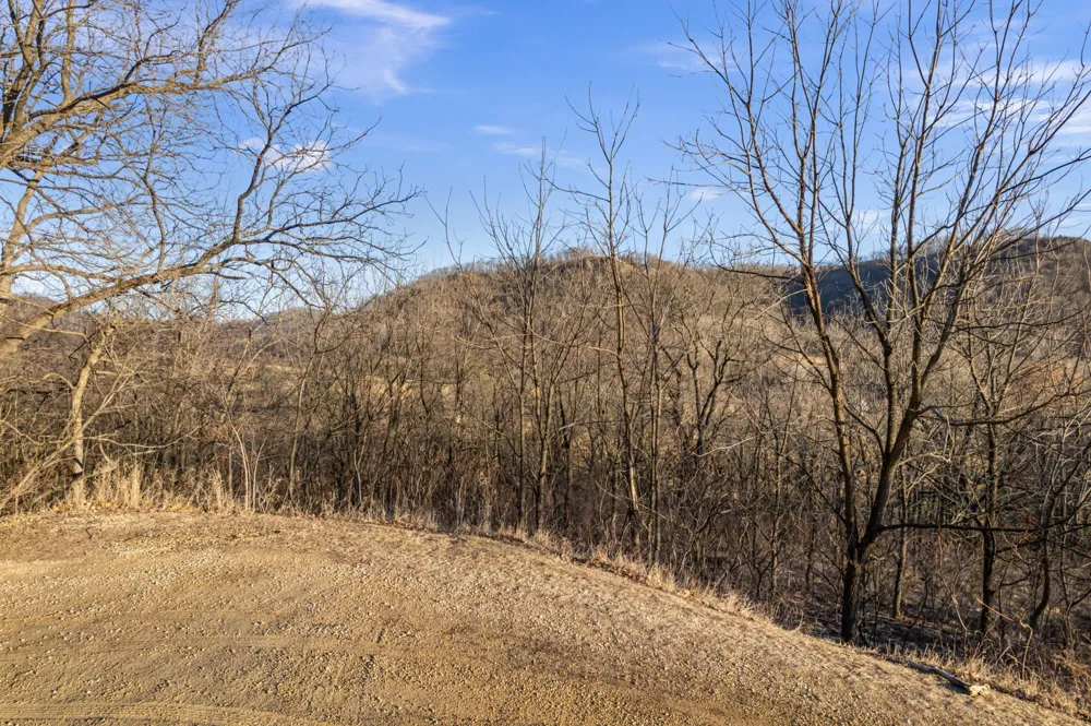 xx Golf View Road Cochrane, WI 54622